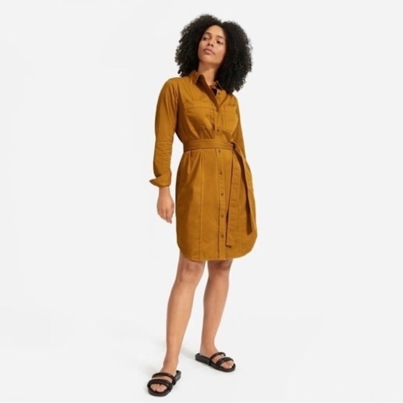Everlane Dresses & Skirts - Everlane Utility Shirtdress